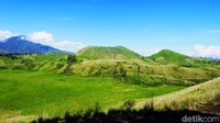 Suasanya seperti di tayangan serial TV anak-anak, Teletubbies. Itu makanya kawasan Kawah Wurung ini sering disebut Bukit Teletubbies (Chuk Shatu W/detikTravel)