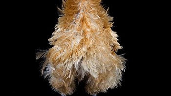 Sudah seperti model ya... Foto: sadanduseless