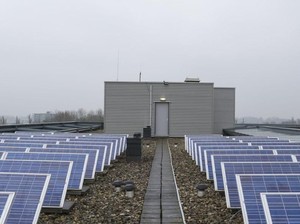 Nasib Bauran Energi Terbarukan Jalan di Tempat