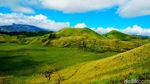 Foto: Bukit Teletubbies di Bondowoso