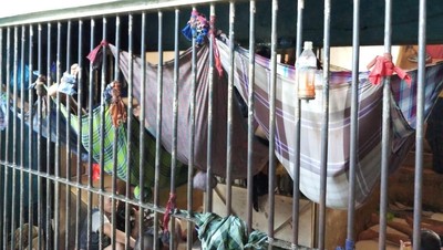 Penampakan Penghuni Rutan di Riau Tidur Bak Kelelawar