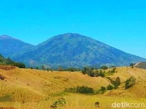 Bukan di Bromo, Ini Bukit Teletubbies Punya Bondowoso