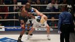 Pertunjukan Sirkus Mayweather Senilai Rp130 Miliar