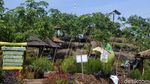 Foto: Tempat Wisata Murah Meriah Tapi Cantik di Batang