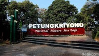 Di Kabupaten Pekalongan, Jawa Tengah, banyak pilihan lokasi liburan bersama keluarga untuk liburan awal tahun. Salah satunya  di Petungkriyono yang merupakan bagian dari lereng Pegunungan Dieng. (Robby Bernardi/detikTravel)
