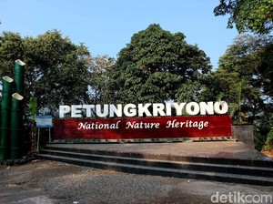 Terpesona Alam Petungkriyono yang Indah di Pekalongan