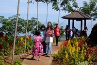 Traveler bisa berjalan-jalan di antara taman bunga (Robby Bernardi/detikTravel)