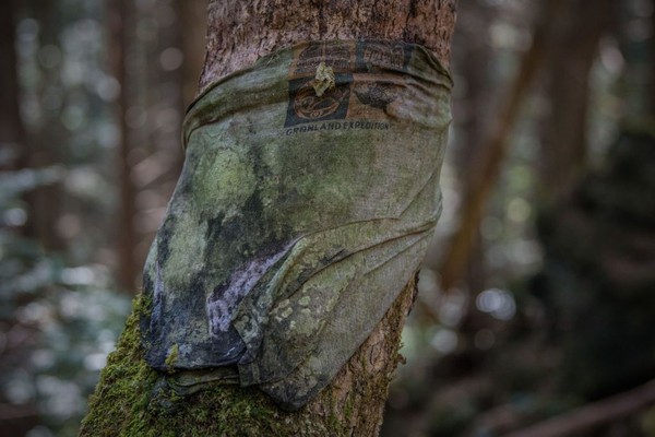 Foto Hutan Tempat Langganan Bunuh Diri Di Jepang 