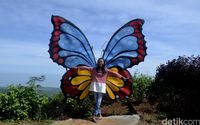 Ada banyak spot foto Instagramable juga (Robby Bernardi/detikTravel)