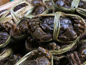 Gara-gara Truk Rusak, Dua Ton Kepiting Terpanggang di Jalan Raya
