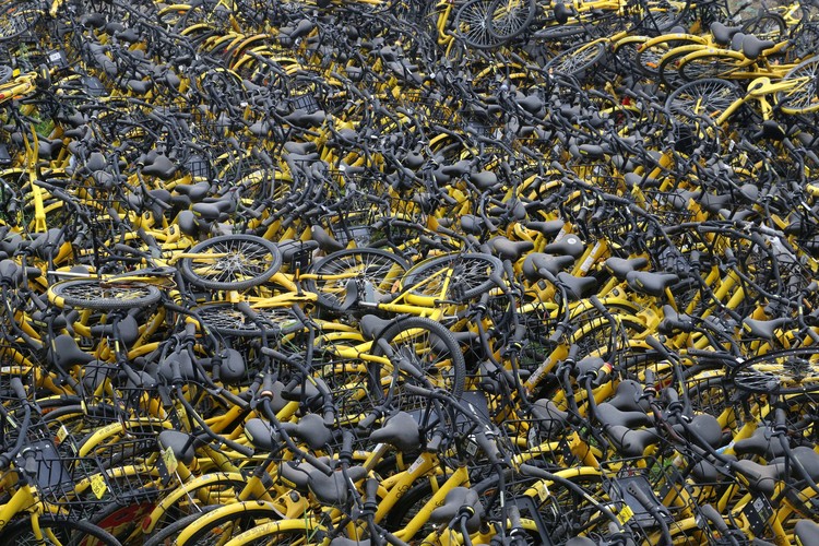 Bangkrut Ofo Bangkrut Ofo