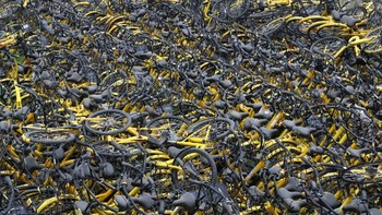 Sepeda-sepeda para startup itu pun, walau kondisinya sebagian masih bagus, tak lagi dipakai dan dibiarkan berkarat. Foto: Reuters