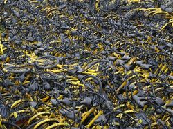 Kuburan Jutaan Sepeda, Masih Bagus Tapi Dibuang