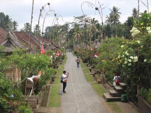 Desa Paling Bersih Sedunia Ada di Bali