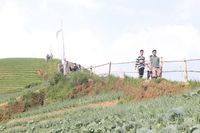 Segarkan Mata di Terasiring Argpura Majalengka