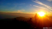 Perjalanan terus dilanjutkan masih tetap menyusuri jalan hutan alam. Di kanan kiri ada pemandangan yang menawan. (Robby Bernardi/detikTravel)