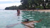 Air lautnya sangat segar! Yakin nggak mau di momen Tahun Baru berenang di sini? (Muslimin Abbas/detikTravel)