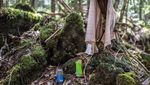 Foto: Hutan Tempat Langganan Bunuh Diri di Jepang