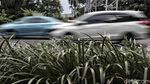 Setujukah Warga Jakarta Jika Ganjil-Genap Diperpanjang?