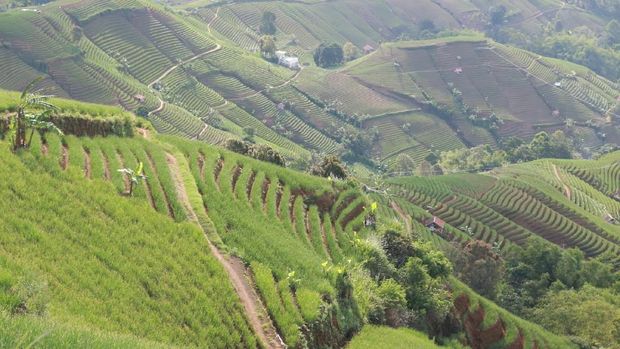 Liburan Ke Terasering Argapura Majalengka