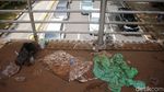 Jorok! Sampah Tahun Baru Menumpuk di JPO Medan Merdeka Barat