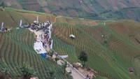 Seperti inilah pemandangan di Terasering Argapura Majalengka. Terasering ini berada di Panyaweuyan, Kecamatan Argapura, Kabupaten Majalengka, Jawa Barat (Sudirman Wamad/detikTravel)