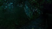 Banyak turis bilang, cahaya di dalam guanya bagaikan bintang yang terlihat di langit pada malam hari (iStock)