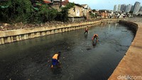 Sejumlah petugas dari UPK Badan Air Dinas Lingkungan Hidup Provinsi DKI Jakarta pun terus melakukan perbersihan sampah yang berada di Inspeksi Kali Grogol.