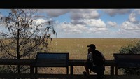 Meski begitu, masih ada tempat wisata yang buka untuk umum meski jumlah pengunjungnya dibatasi, yaitu Taman Nasional Everglades. Istimewa/Getty Images/Joe Raedle.