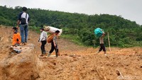 Menurut Badan Nasional Penanggulangan Bencana (BNPB), ada 20 warga yang diduga masih tertimbun longsoran.