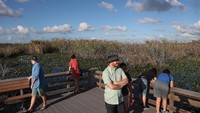 Meski begitu, masih ada tempat wisata yang buka untuk umum meski jumlah pengunjungnya dibatasi, yaitu Taman Nasional Everglades. Istimewa/Getty Images/Joe Raedle.