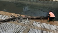 Normalisasi dilakukan dengan pemasangan dinding turap atau sheetpile dan merapikan tebing kali menggunakan rumput.