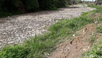 Sampah menutup seluruh permukaan air.