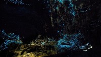Dari website Discover Waitomo, harga untuk melihat fenomena gua bercahaya ini sekitar NZD 53 atau sekitar Rp 508 ribu (iStock) 