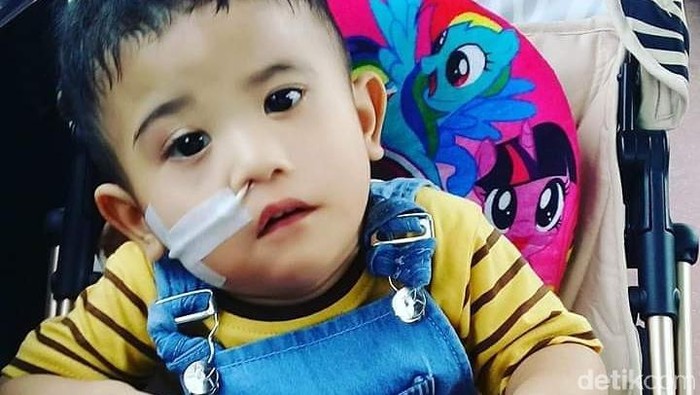 Yuk bantu Adelio sembuhkan penyakit langka! Foto: Frieda Isyana Putri/detikHealth Yuk bantu Adelio sembuhkan penyakit langka! Foto: Frieda Isyana Putri/detikHealth