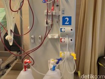 KPCDI: Lebih 60 Ribu Pasien Gagal Ginjal Meninggal Tiap Tahun karena Tak Bisa Cuci Darah