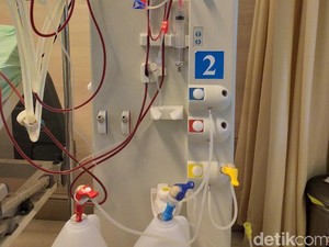 KPCDI: Lebih 60 Ribu Pasien Gagal Ginjal Meninggal Tiap Tahun karena Tak Bisa Cuci Darah