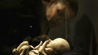 Dipamerkan di Museum Sains di California, ini adalah janin manusia usia 19-20 minggu yang sudah menjalani proses plastinasi. (Foto: David McNew/Getty Images)  