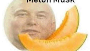 Ada juga meme Melon Musk yang seperti ini. Foto: Istimewa