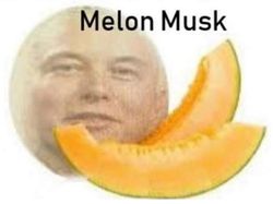 Sebut Neil Armstrong Alien, Elon Musk Kena Bully Netizen