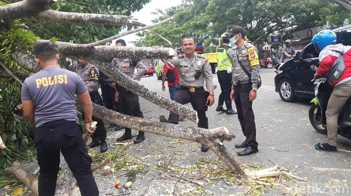 Angin Kencang Terjang Ambon, Pohon-pohon di Jalanan Tumbang