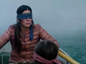 #BirdBoxChallenge, Lahir dan Dicekal oleh Netflix