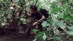 Foto: Marshall Sastra Bertahan Hidup di Hutan Pangandaran