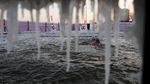 Lomba Ekstrim Berenang di Sungai Es, Berani Coba?
