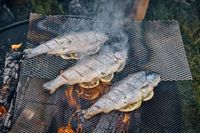 Alergi Seafood, Anak Ini Meninggal Karena Hirup Asap Ikan