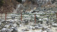 Kawah Domas merupakan kawah aktif yang menyemburkan air panas. Saking panasnya, air dari aktivitas vulkanik ini bisa dipakai untuk merebus telur (Idris/detikTravel)