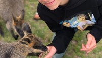 Romeo James Beckham adalah anak kedua pasangan David Beckham dan Victoria. Tampilan Romeo makin memikat di usia 16 tahun. Foto: Instagram romeobeckham