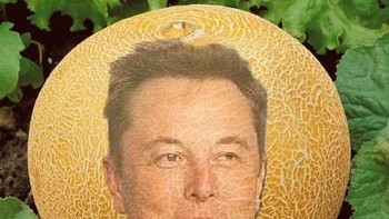 Meme Melon Musk pun langsung lahir dari situ. Foto: Istimewa
