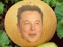 Sebut Neil Armstrong Alien, Elon Musk Kena Bully Netizen