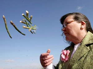Wanita Ini Gunakan Asparagus Untuk Ramal Keberuntungan 2019